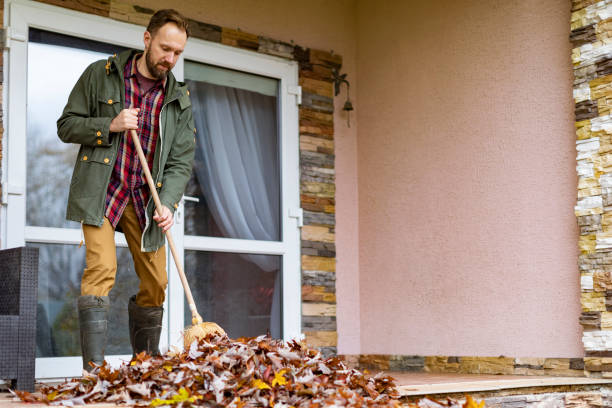 Best Basement Cleanout Services  in Wilmington, OH